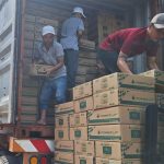 Nhớt cho xe tay ga | Báo giá & Phân phối chính hãng toàn quốc
