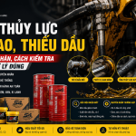 Dầu Thủy Lực Bị Hao, Thiếu Dầu: Nguyên Nhân, Cách Kiểm Tra Và Xử Lý Đúng